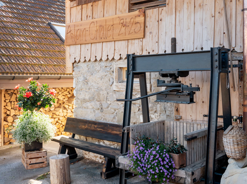 Alpinchalet